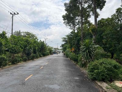 Ngân hàng thanh lý lô đất đường 3/2, thị trấn Mỹ Thọ, Cao Lãnh, ĐT