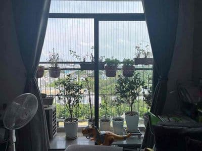 Bán ngộp căn aview 3pn giá chỉ 3.150 tỷ