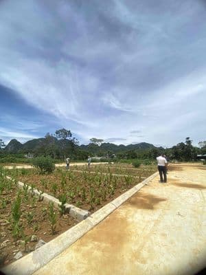 Đất đẹp Ngọc Lặc Thanh Hoá 100m,mt5m full thổ cư , công chứng luôn