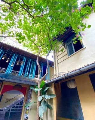 Biệt thự sân vườn hiếm võ văn tần, quận 3, 2 tầng, 500m2, giá 52triệu