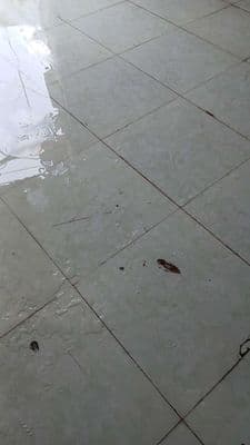 chính chủ cần cho thuê kho