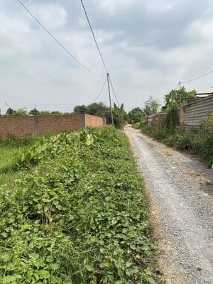 Bán đất chính chủ