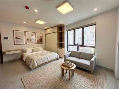 Cho Thuê Căn Hộ Cao Cấp Ngay Trung Tâm Gần Phố Đi Bộ, Chợ Bến Thành