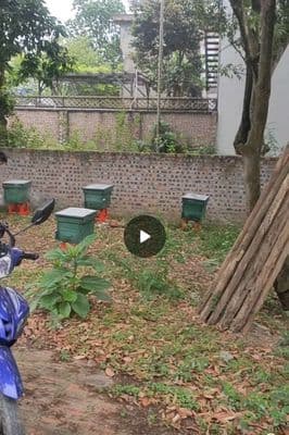 chính chủ bán đất thổ cư sổ hồng mới 2026