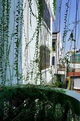 Bán Villa Nguyễn Trọng Tuyển Tân Bình 9,5x15m 4lầu 38tỷ Có thang máy