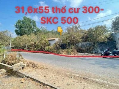 BÁN GẤP đất 31,6x55 thổ cư 300m 500m SKC nhựa 6m xecông chạy sát DT744