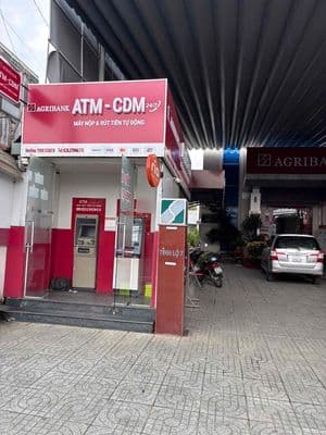 Nhà Tỉnh Lộ 15