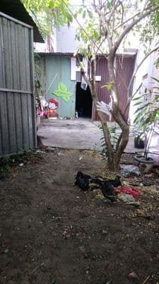 Cho thue 100m2 làm nhà kho, hẻm nguyễn văn quá Q.12