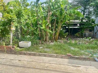Bán lô đất đường xe hơi phường Trấn Biên, Biên Hoà, TP. Đồng Nai