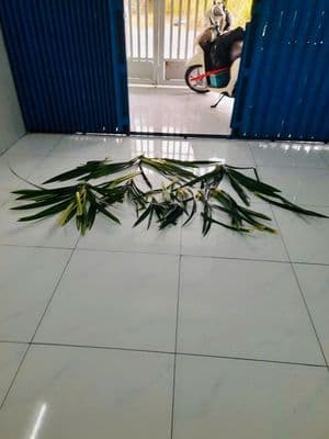 Cho thuê nhà phường bửu long giá 6 triệu