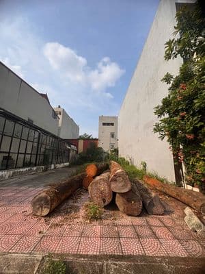 Lô đất đẹp nam hồng – đồng kỵ – từ sơn dt 100m2
