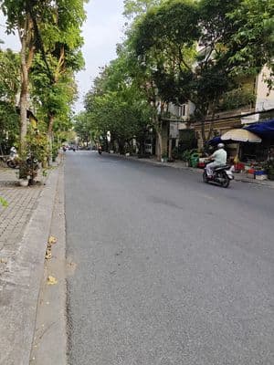 Bán nhà cấp 4 đường số 40 khu Tân Quy Đông Phường Tân Phong Q7 20 tỷ