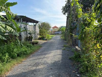 Bán đất mỹ hạnh nam-đức hòa-long an