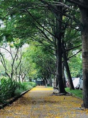 Cho bạn nữ share phòng