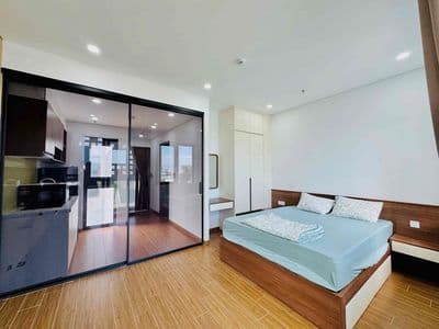 Căn hộ 1pn hoàn toàn mới với tầm nhìn ra núi – hoa xuân