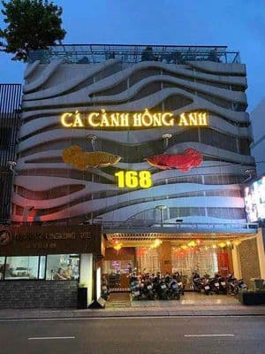 Mặt Tiền 12m Trung Tâm Phú Nhuận, 5 tầng, có Thang máy