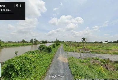 500m2 đất trồng xã Bình Mỹ chỉ 1,5 tỷ TL