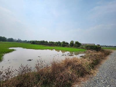 Tân Thạnh Tây, Củ Chi (Chính Chủ bán giá nhỉnh 3 tỳ)
