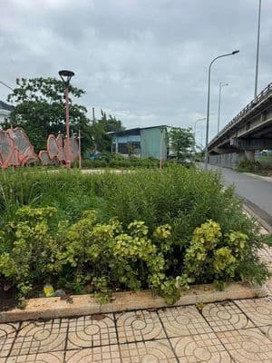 Cho Thuê Kho xưởng 10x25 hẻm Xe Tải Đường Nguyễn Bình Nhà Nhà