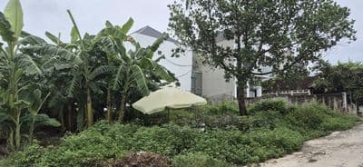 Bán đất 85,6m² Quốc Oai – Hà Nội, Đường ô tô, Có 60m² thổ cư, Giá tốt