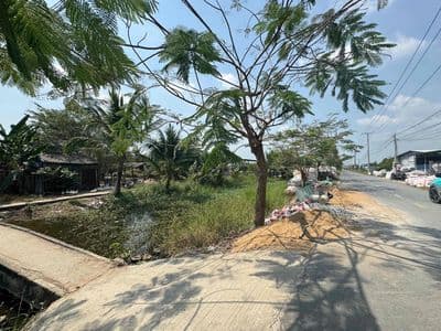 Cần Bán MT kênh 19/5,gần trạm y tế Tân Lân, Trường học TH & Cơ sở