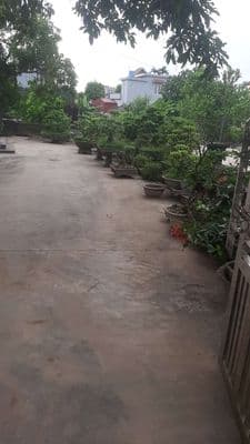 bán đất