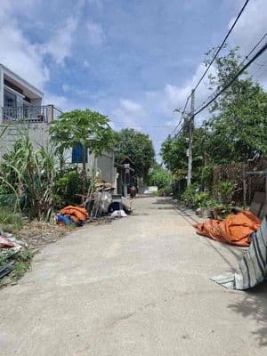Đất rẻ đẹp -Q12