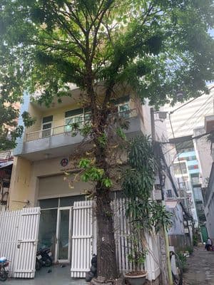 Cho thuê tòa nhà nguyên căn – trung tâm quận 10