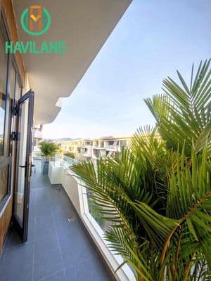 Căn hộ studio tại hoá sơn 8 thân thiện với thú cưng