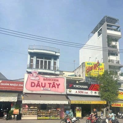 Nhà mặt tiền kinh doanh huỳnh tấn phát , quận 7.