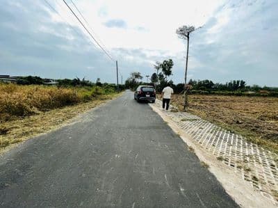 Đất Xuyên Mộc phủ hồng, có thổ, 24.8m MT nhựa đẹp, sát DT329.