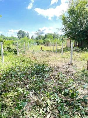 Chính chủ bán đất thổ cư – xã thanh điền, tp tây ninh