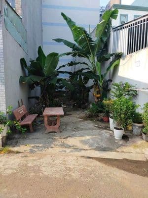 Đất Lã Xuân Oai Tăng Nhơn Phú A Quận 9