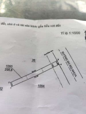 cần bán