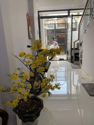 Nhà HXH Trần Văn Quang P10 DT: 3 x 11m 2 Lầu, Sân Thượng( mới, đẹp)