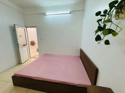 Cho thuê căn hộ 151 NDC, Trương Định 2pn 2vs full đồ 9tr5