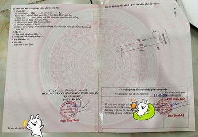 CHÍNH CHỦ CẦN BÁN ĐẤT THỔ CƯ xã Hoà Khánh Nam, Long An