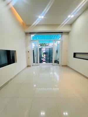 Cho thuê biệt thự đẹp mtđs tân quy - quận 7 - giá 35tr/th