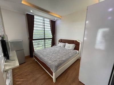 Cho thuê căn hộ 1 ngủ rộng (35m2) có ban công Waterfront City.