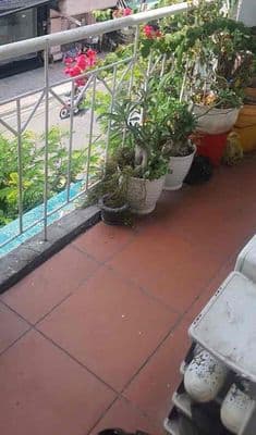 Căn hộ sổ hồng quận Tân Bình giá rẻ