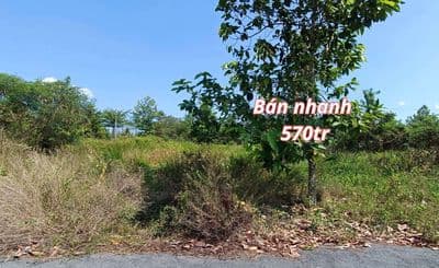 Bán nền vạn phát sông hậu - 570triệu - 80m2 - sổ sẵn - lộ 14m.