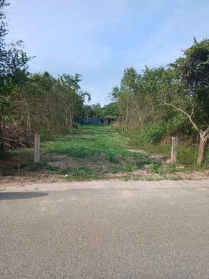 Chủ ngộp gửi bán 270m2 đất Cây Trôm Mỹ Khánh. SHR. Giá mong muốn 670tr