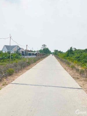 mảnh vườn củ chi 505m2 có sổ