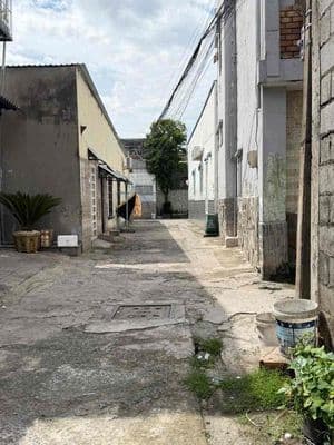 Bán dãy trọ – 106m² full thổ cư – hxh 5m trịnh thị miếng- hóc môn-3,7t