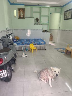 Cho thuê nhà nguyên căn có sẵn máy lạnh, giường,tủ quần áo