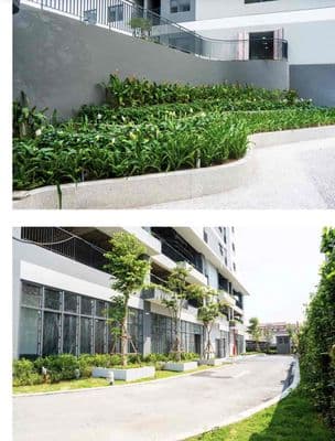 Chính chủ cần bán gấp
