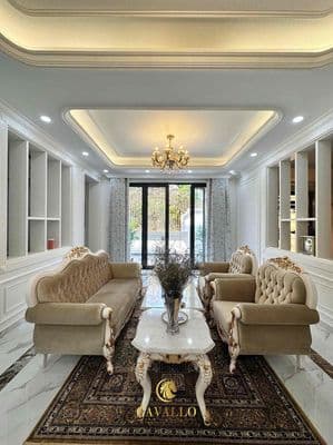 Biệt thự khu vip adc - tân phú siêu biệt thự chuẩn nội thất châu âu