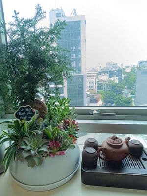 Căn hộ view đẹp 62m2, 4,2 tỷ tại Khu căn hộ Thuận Việt, Q11, HCM