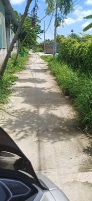 Cho thuê đất 200m² – tân túc, bình chánh – xe tải vào tận đất