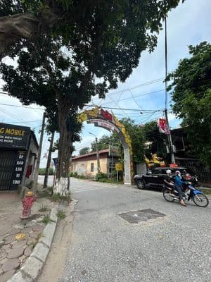 Bán đất tặng nhà 60m² gần Vin Cổ Loa